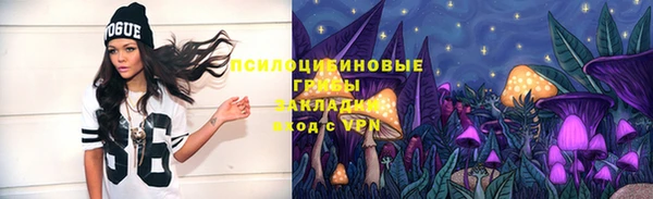 эйфоретик Белоозёрский