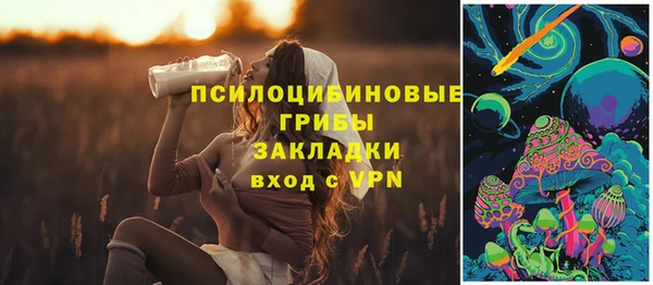 скорость Белокуриха